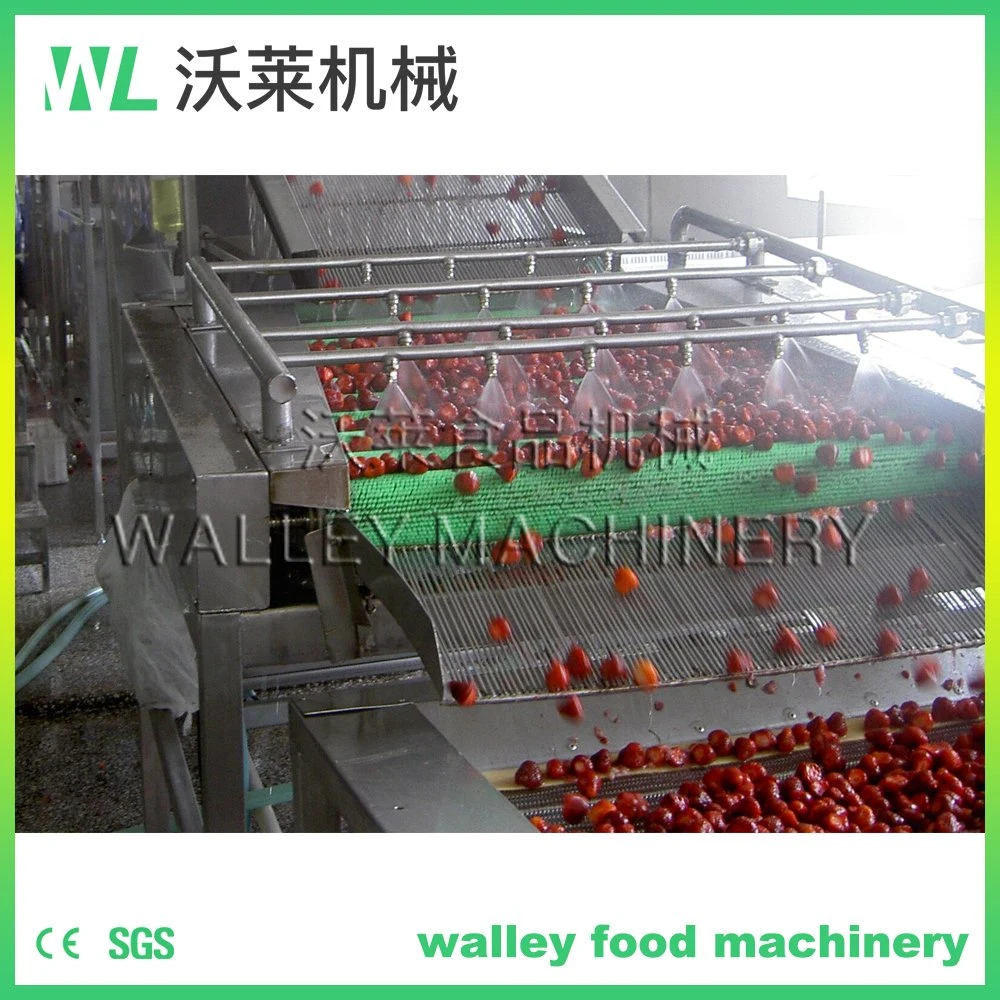 High Rebuy China Agricultural Industry Roller Brush Cleaning Machine