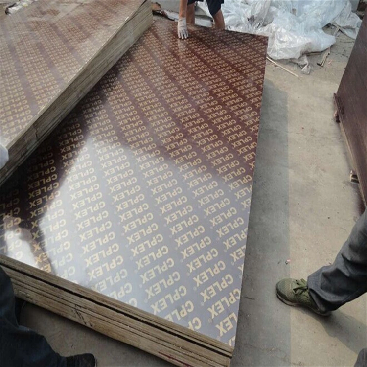 Poplar Eucalyptus Black Brown Film Faced Marine Plywood for Building