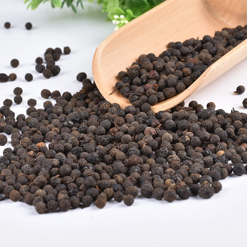 Bi Cheng Qie New Harvested Natural Raw Dried Litsea Cubeba Fruits, Spice Wild Black Fruits Fructus Litseae