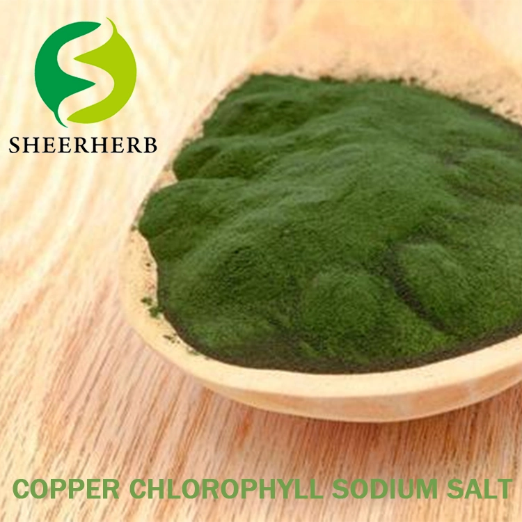 Chlorophyllin Chlorophyll 95% 100% Sodium Copper Chlorophyllin Sodium Magnesium