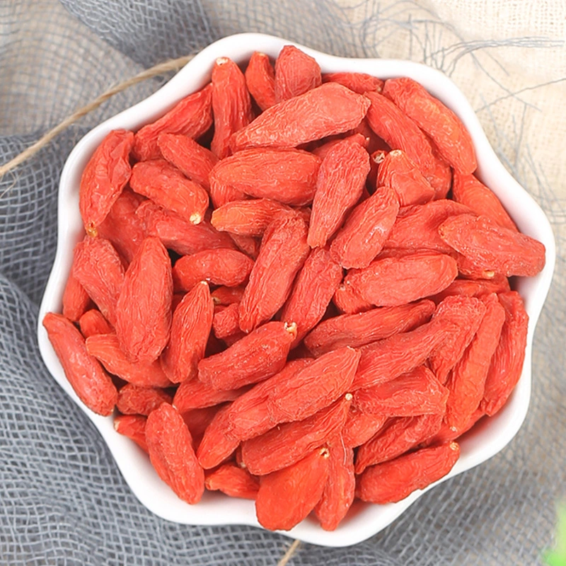 Wholesale Fructus Herbs Lycium Health Food Dried Goji Berry