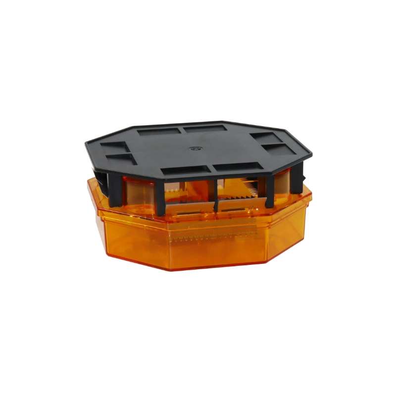 China Mold Maker Provide Custom PS+ABS Plastic Cockroach Trap Injection Molding for Household