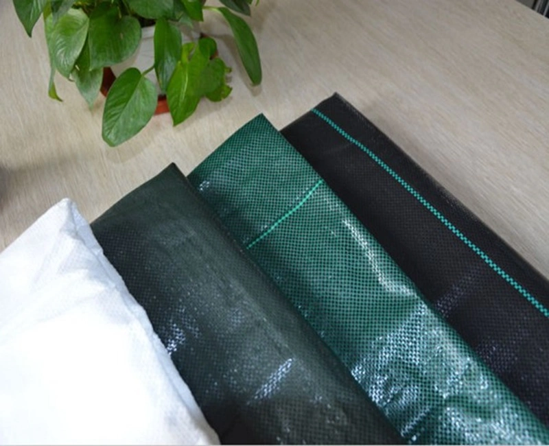 Plastic PP PE Black White Orange Green Woven Ground Cover Anti Weed Mat Fabric