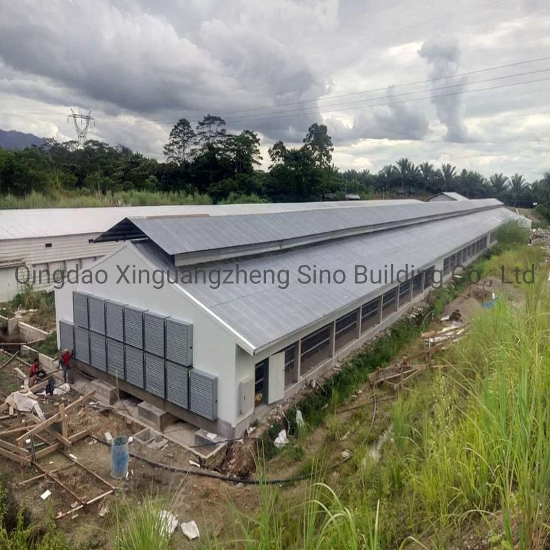 Low Cost Prefabricated Steel Structure Chicken House Farm