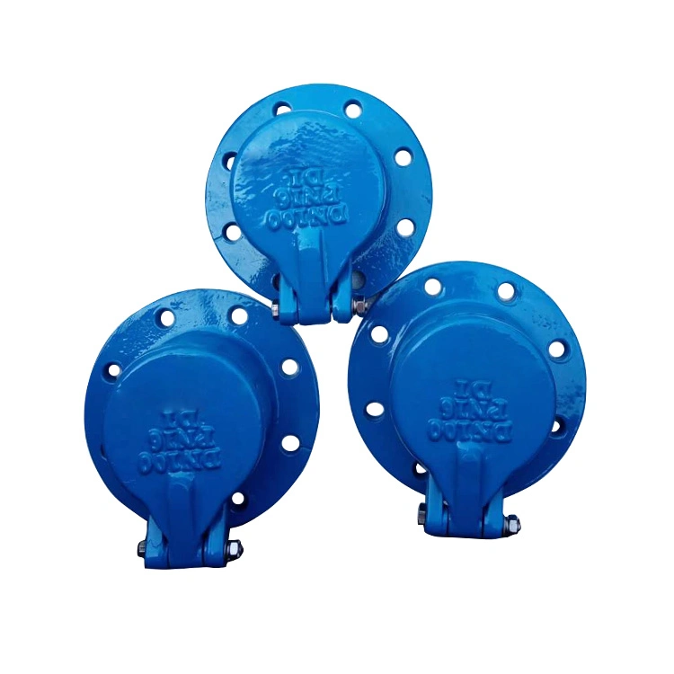 Standard DN100 Pn10 Non-Return Flap Metal Seal Check Valves