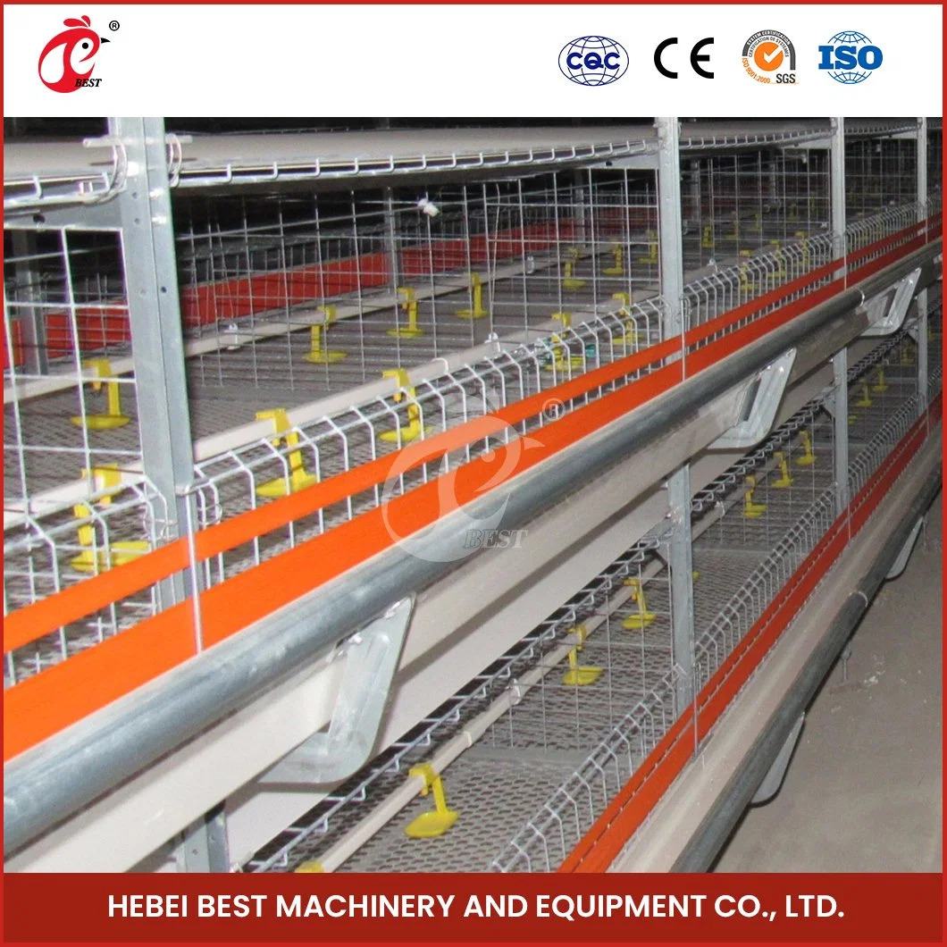 Bestchickencage H Frame Broiler Cages China Chicken Roost Cage Manufacturing Anti-Bacterial Spread Design Cage Box Chicken Broiler Crate