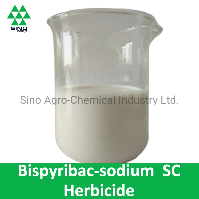 Bispyribac-Sodium Sc (100g/l, 105g/l, 115g/l, 200g/l, 400g/l) Herbicide Pesticide