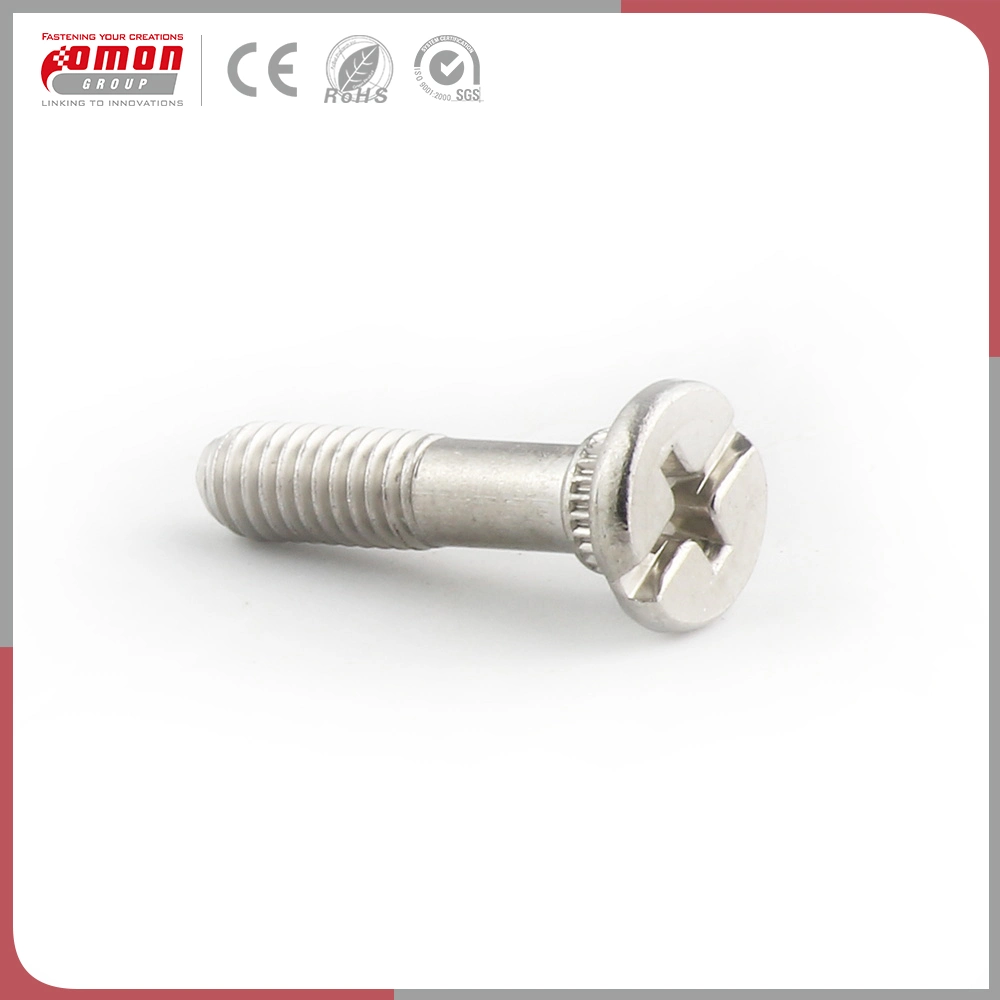 Customized Screw Stud Stainless Steel Brass Bolt for Building