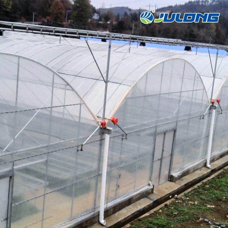 La Chine Fabricant Cheap serre avec système de la culture hydroponique de film pour la plantation de fleurs de Légumes Tomates