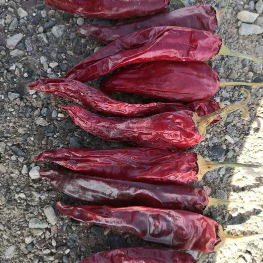 Food Grade Seasoned Red Chilli