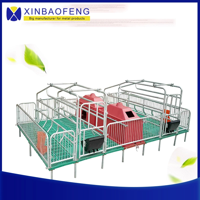 Livestock Pig Farm Farrowing Crate Equipment for Sale