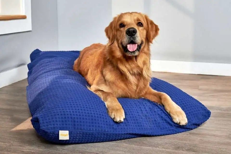 Cama para perros de lujo, cómoda y suave, estilo sofá-cama grande para mascotas Lecho ergonómico de perro de espuma de memoria ortopédica