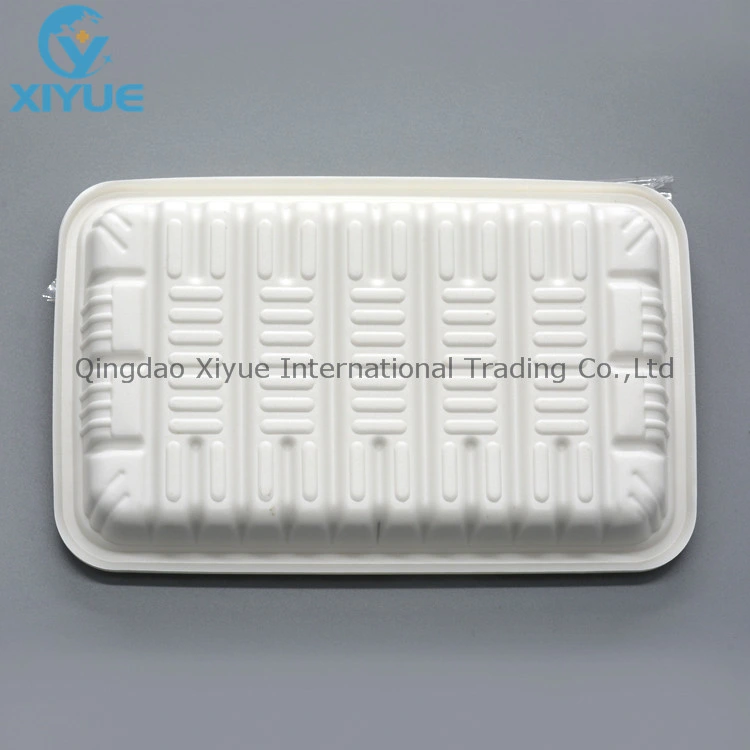 Medical Products Disposable Oral Plastic PP Care Tray Products