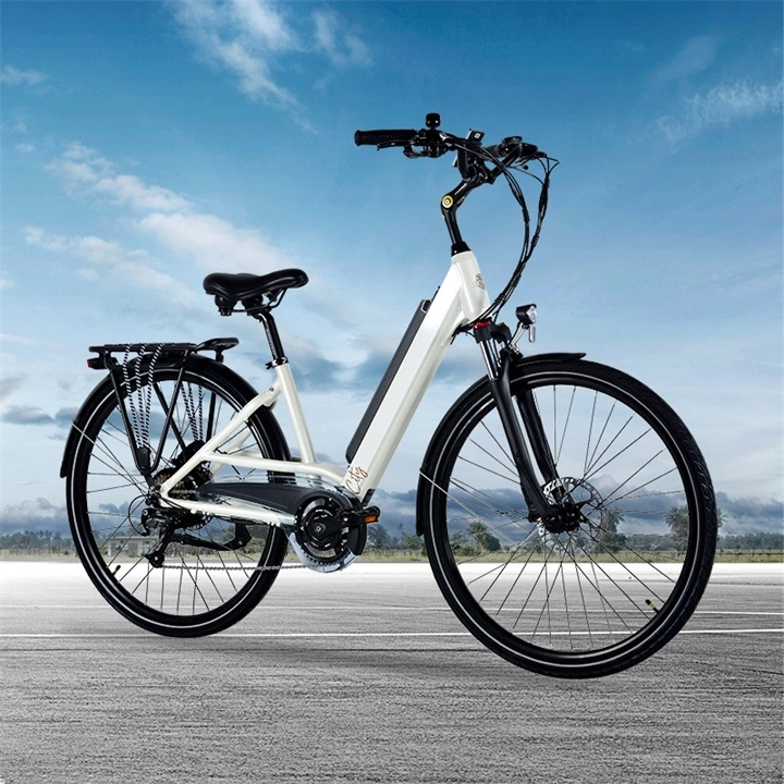 36V Electric Bike with CE Certificate En15194 Ebike for Europe