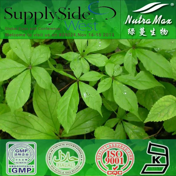 Factory Supply Siberian Ginseng Extract with Eleutheroside B+E 0.8%