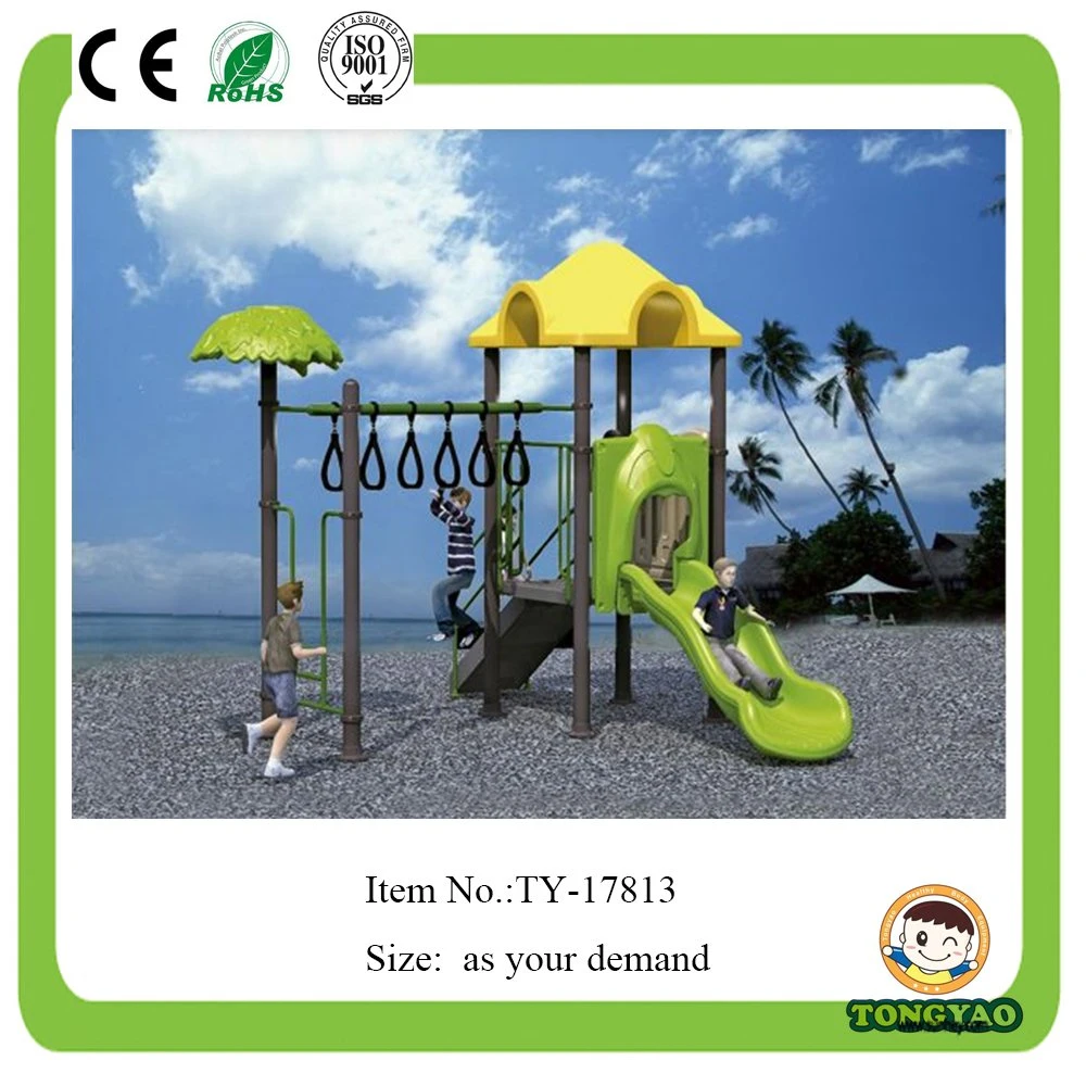 2017 Small Outdoor Playground Equipment (TY-70595)