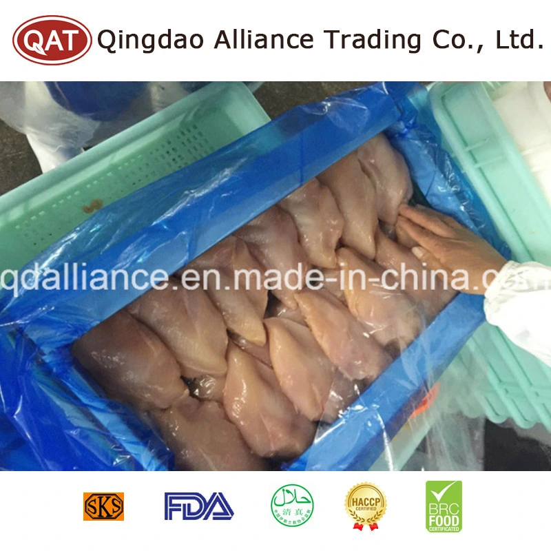 Frozen Halal Chicken Breast Fillet Without Skin