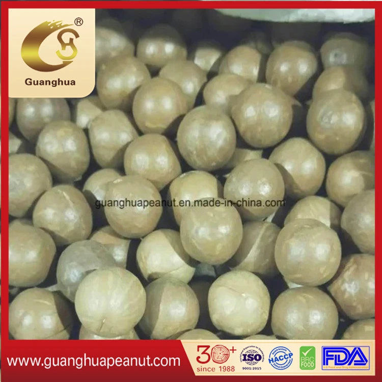 High Grade Roasted Macadamia Nuts with Ce