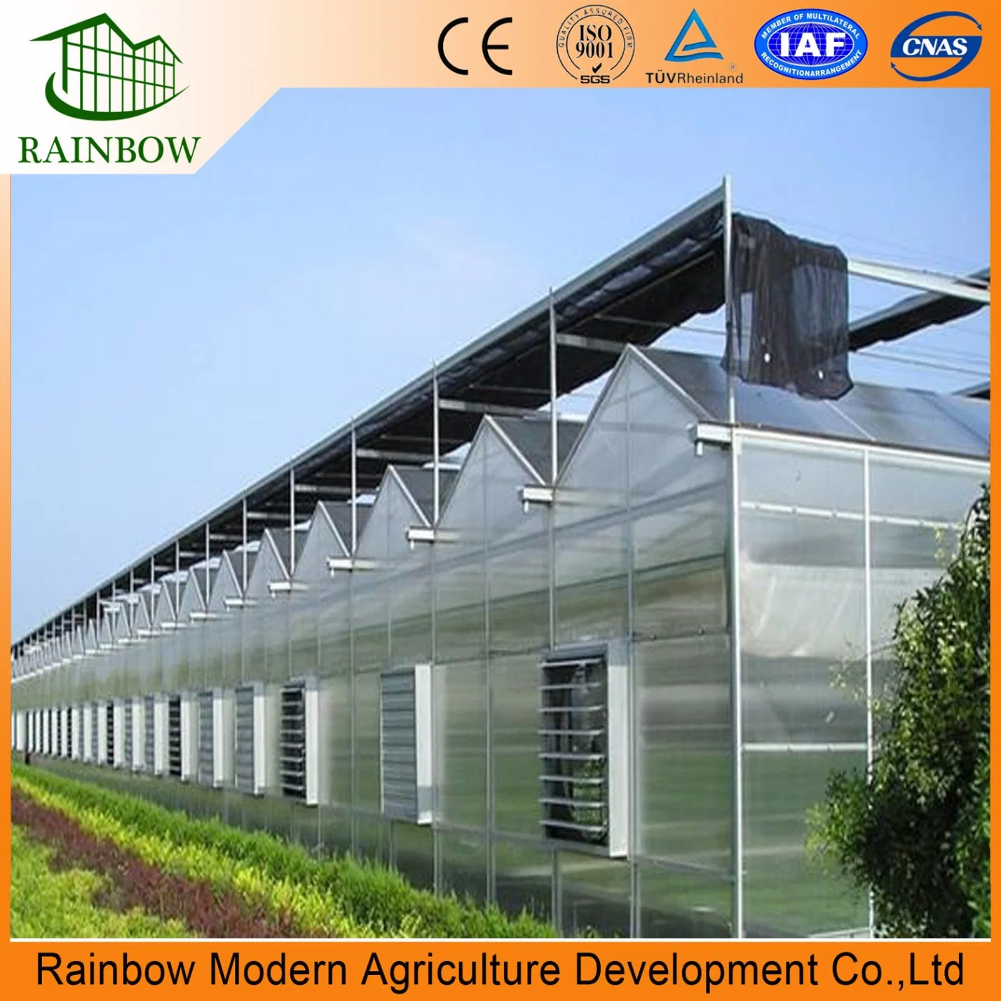 Venlo Aluminum Alloy Structure PC Board Greenhouse