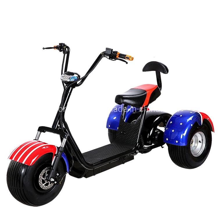 Strong Power 1000W 3 Wheels Long Range Cheap Price Electric Trike Scooter Adult Electric Tricycle Citycoco for Elder