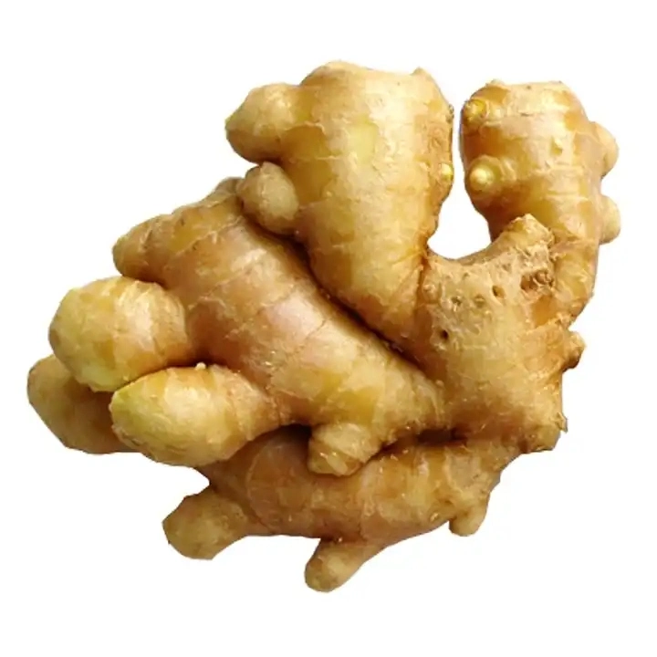 Spicy Mature Ginger Dry Ginger