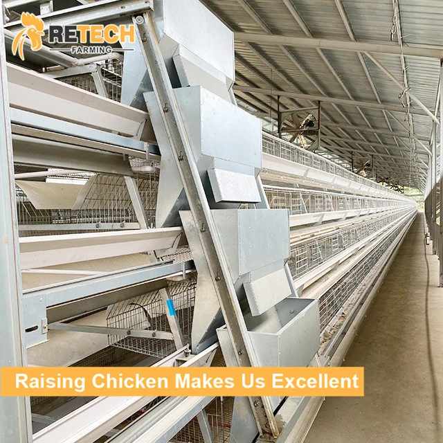 A Type Battery Layer Chicken Cage Automatic Egg Poultry Farming Equipment System