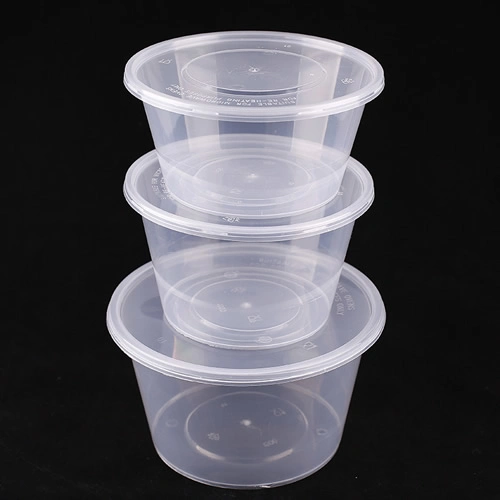 Plastic Food Container Disposable Fast-Food Boxes Mould Manufacturer