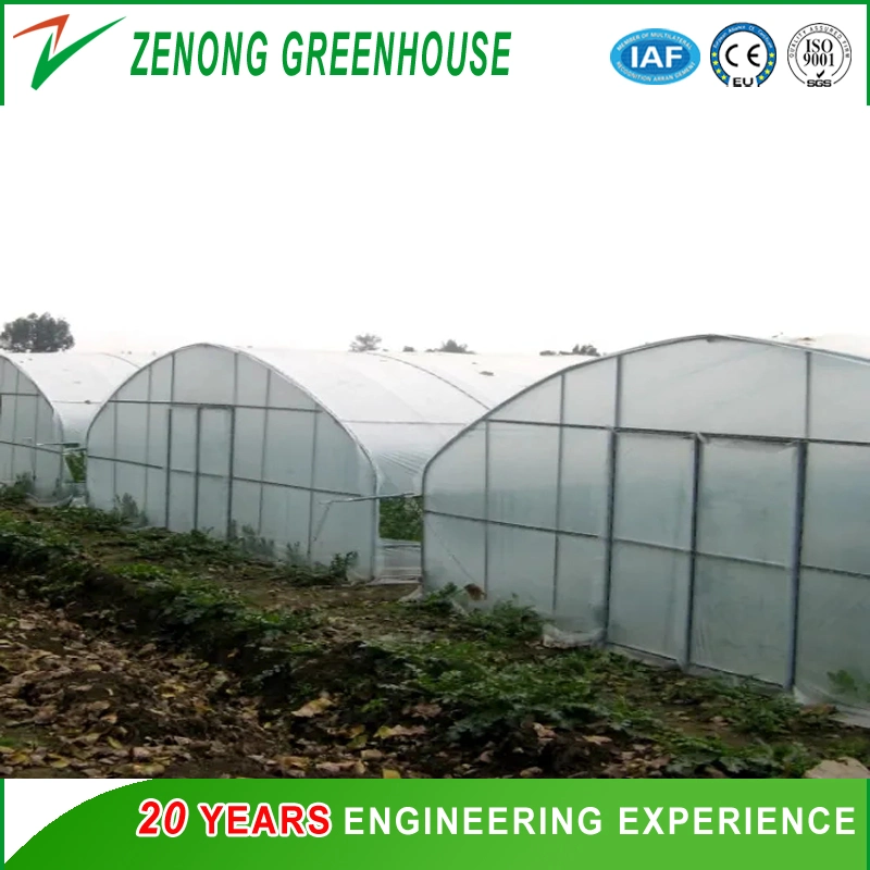 Modern Design Style Poly Single-Arch Film Greenhouse with Shading Screen/Ventilation Equipment