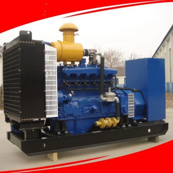 600kVA/660kw Gas Generator Pig Farm Manure Landfill Gas Biogas Farm Backup Power Generator