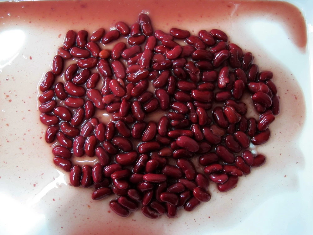 Rote Kidney Bean Aus Der Süßkonserven-Dose Aus China Factory