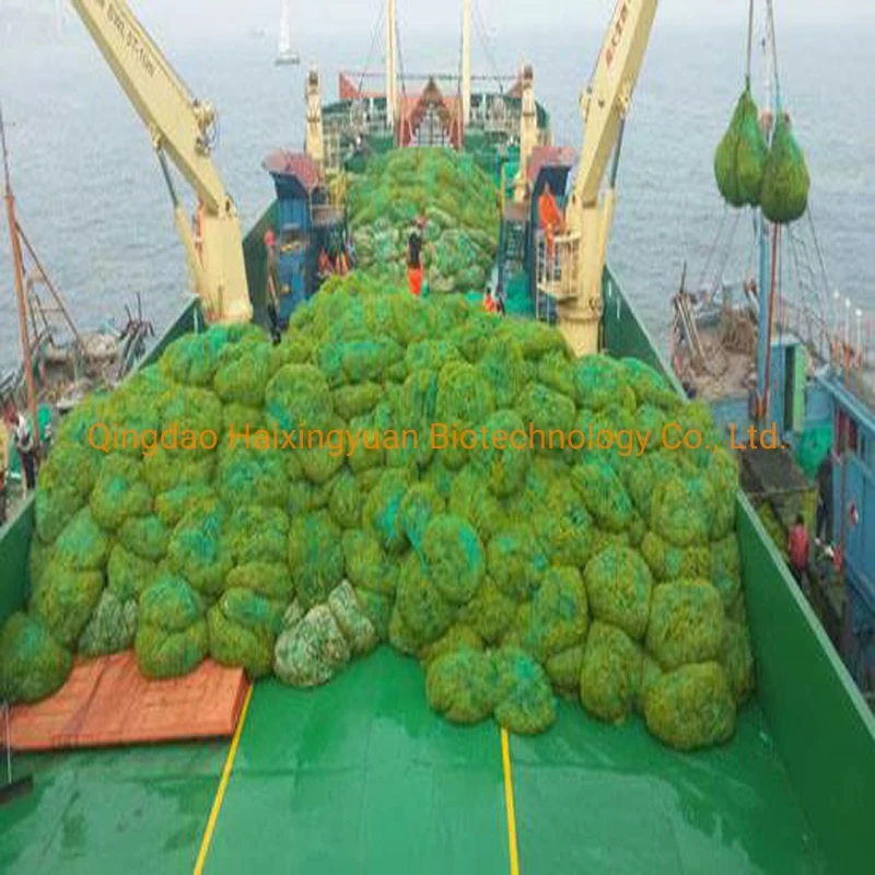 Seaweed Meal Enteromorpha Powder for Feed