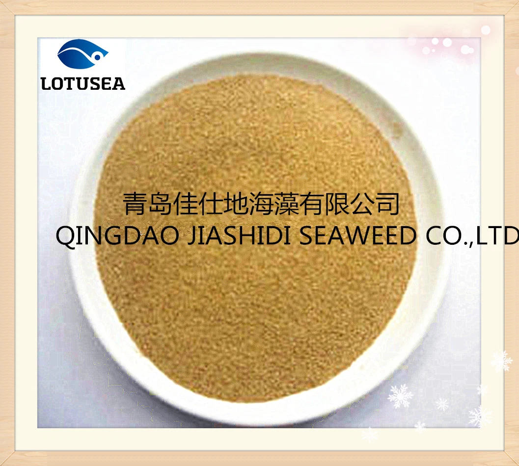 Lotusea High quality/High cost performance  Sodium Alginate 1500cps for Textile