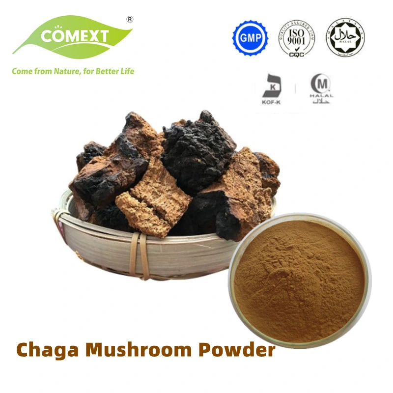 Comext Water Soluble Chaga Mushroom Extract 10: 1 Chaga Extract Powder