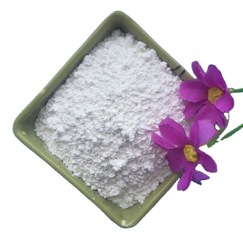 White Powder Titanium Dioxide R-5566 High Gloss TiO2 for Pigments