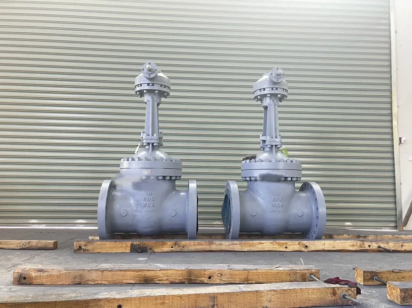 Cast Steel Full Diameter Double Flange OS&Y Wedge Gate Valve