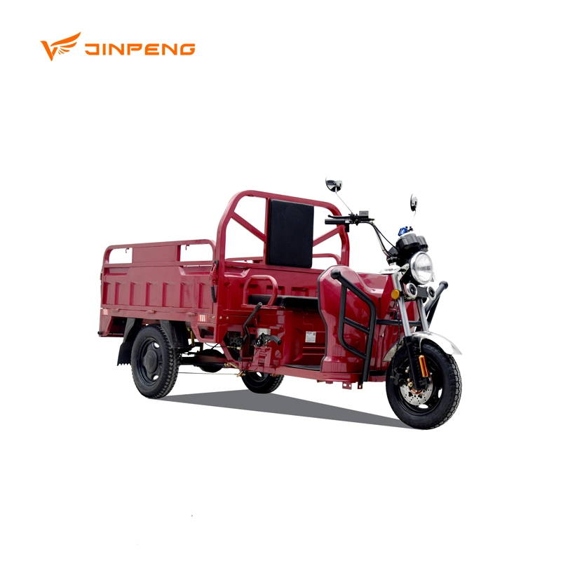 Powerful Motor Farm Use 60V45ah Electric Cargo Tricycle for Adult