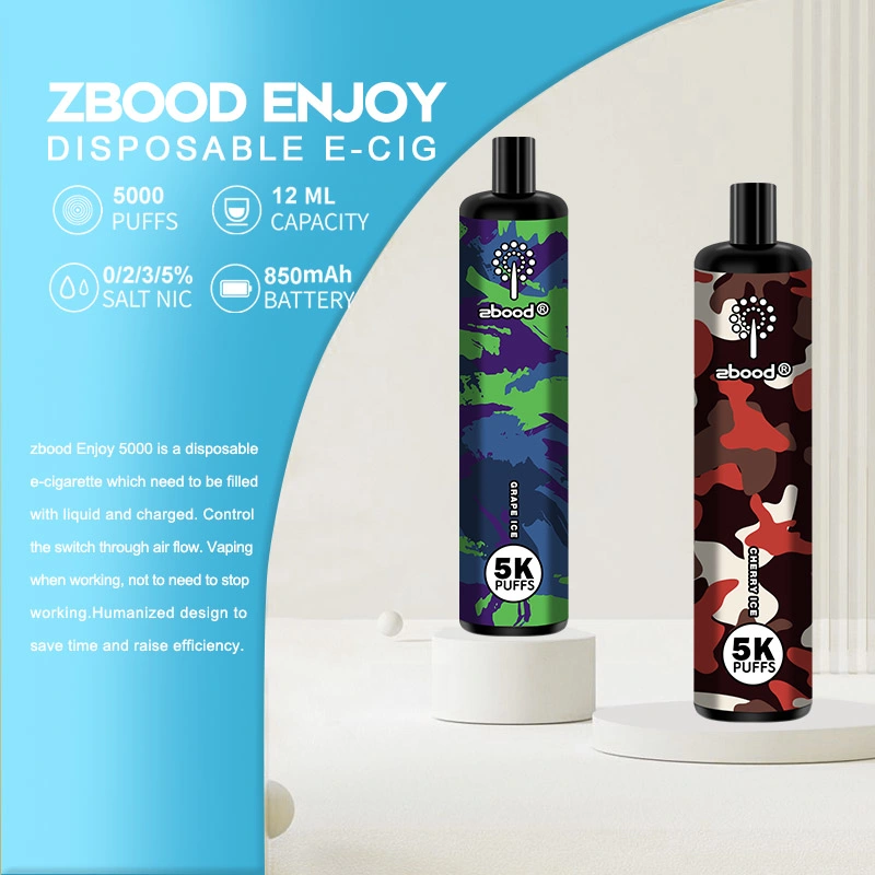 Zbood Personalizar Disfrute de 5000 Puff Tipo C lápiz desechable VAPE Equipo Pod 10000 7000 Puff E Cigarette VAPE