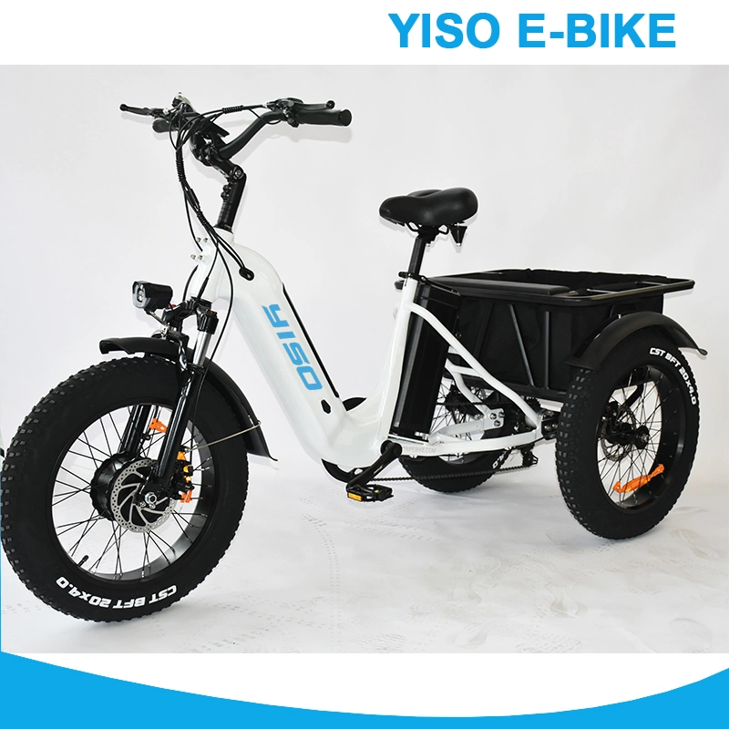 Big Tire Folding Tricycle eléctrico eBike 750W