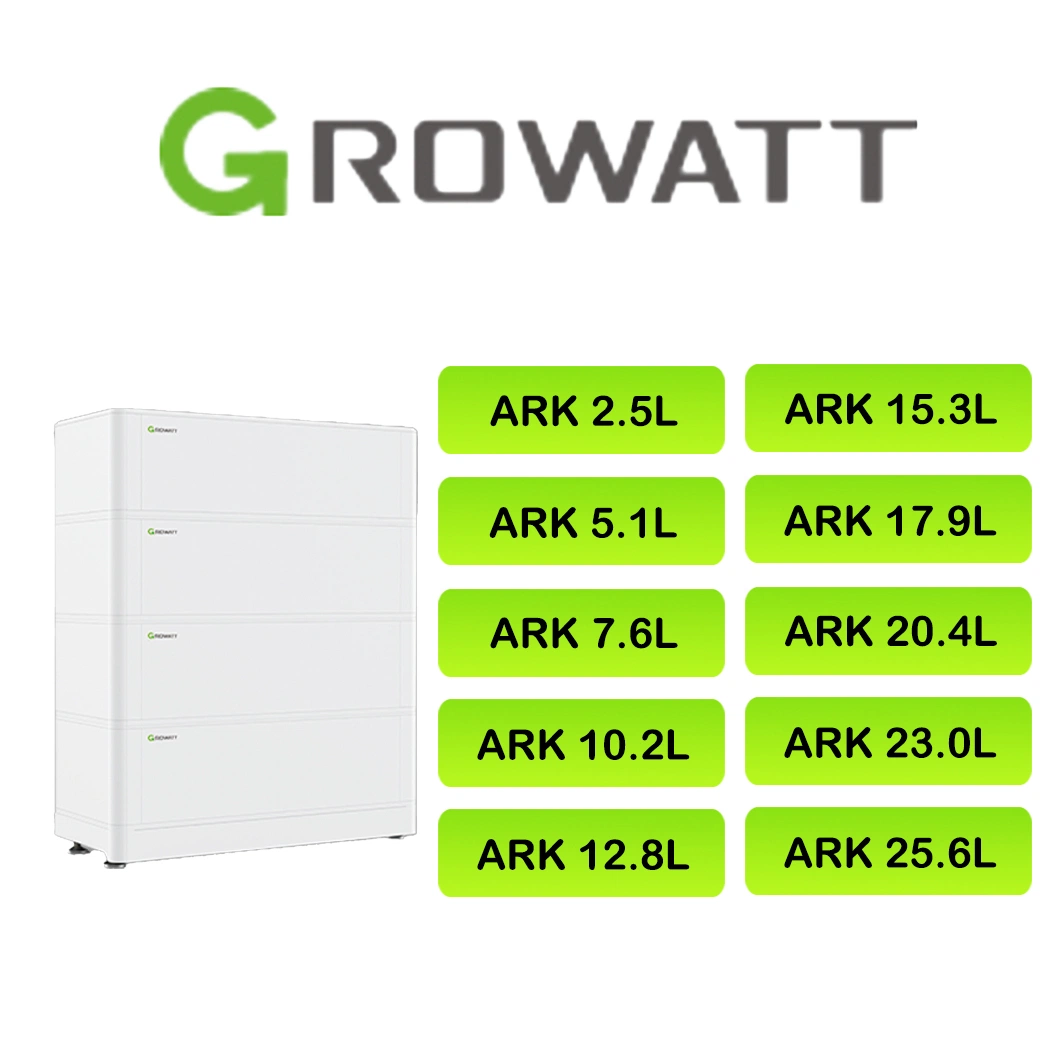 Growatt 2.5L Arca Arca de la batería LV 2.56 kwh LFP Sistema de la batería