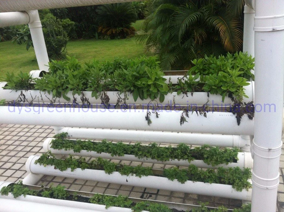 Bigger Size Hydroponics Nft Growing Systems for Greenhouse