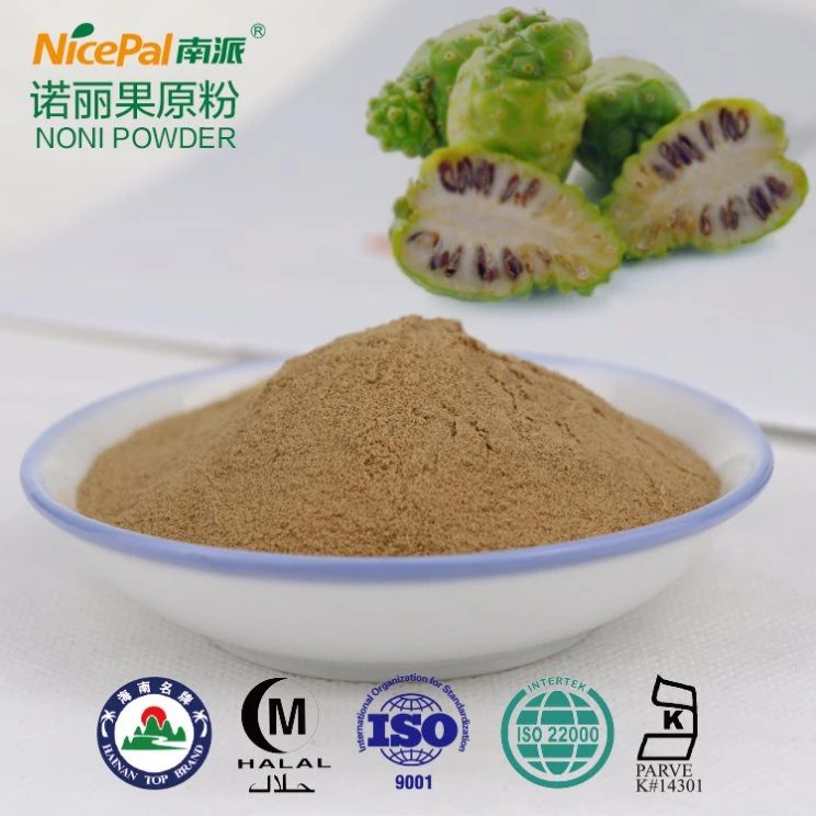 Fresh Dried Noni Fruit Extract Powder for Health Care Product