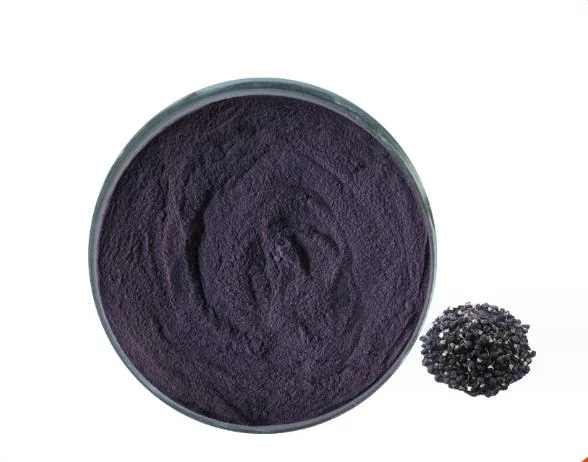 Factory Direct Bulk Supply Black Goji Berry Powder for Food Additive