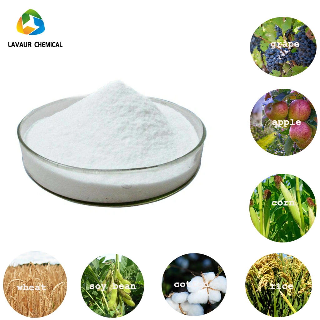 Pyridaben40% Wp Pesticide Preventing Acarid