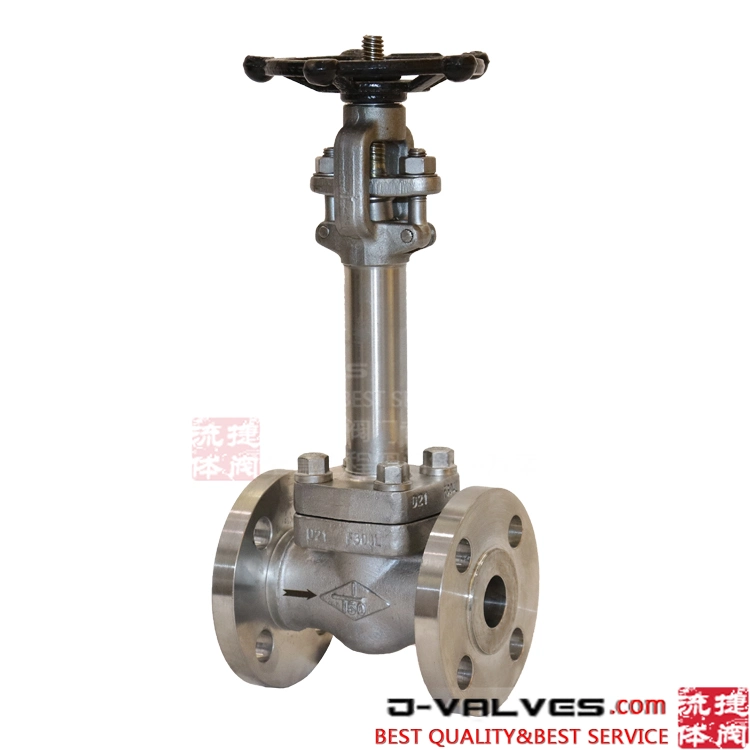 Cryogenic Globe Valve Stainless Steel F304L Flange 1inch DN25 150#