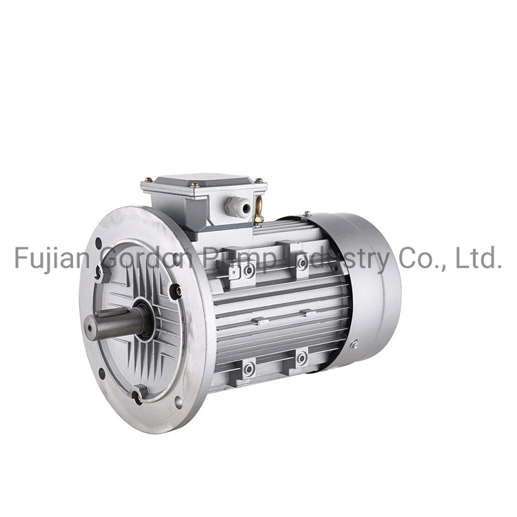 Aluminum Housing Three Phase Electric Motor