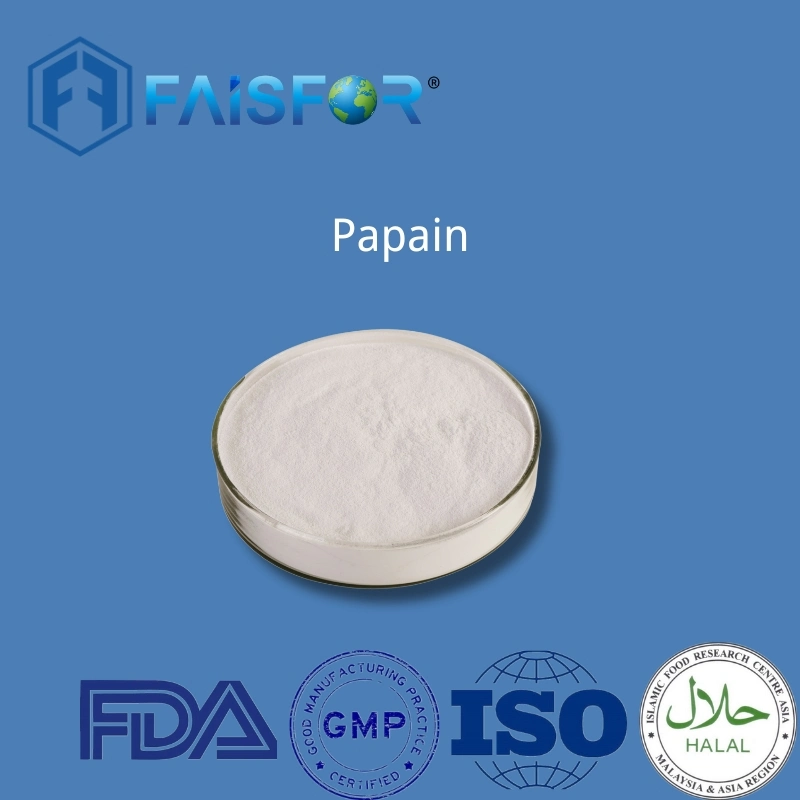 Food Grade Enzyme High quality/High cost performance  Papain with Best Price