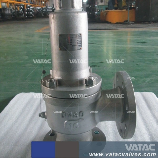 Stainless Steel Spring Loaded Safety Valve