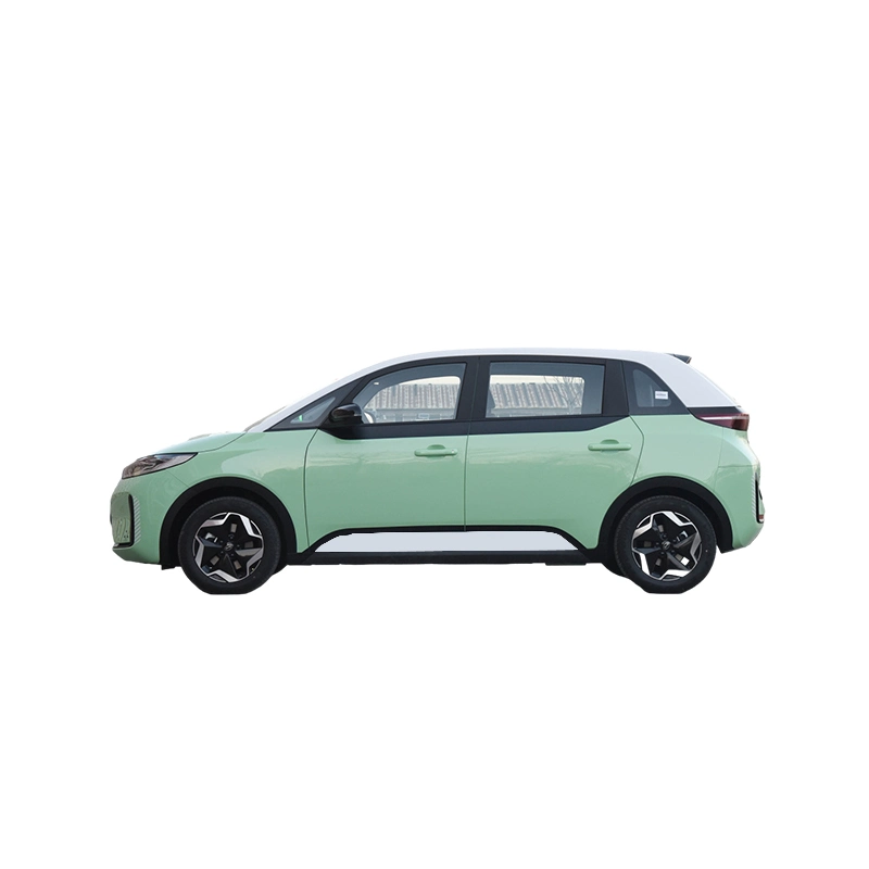 Nueva energía coche eléctrico adulto nuevo coche Byd D1 Energía Vehículo