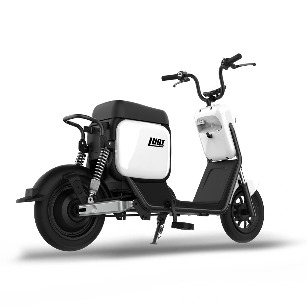 2021 Hot Selling in EU Road EEC/CE/Coc Approved Balancing Electric Scooters with 2 Wheels