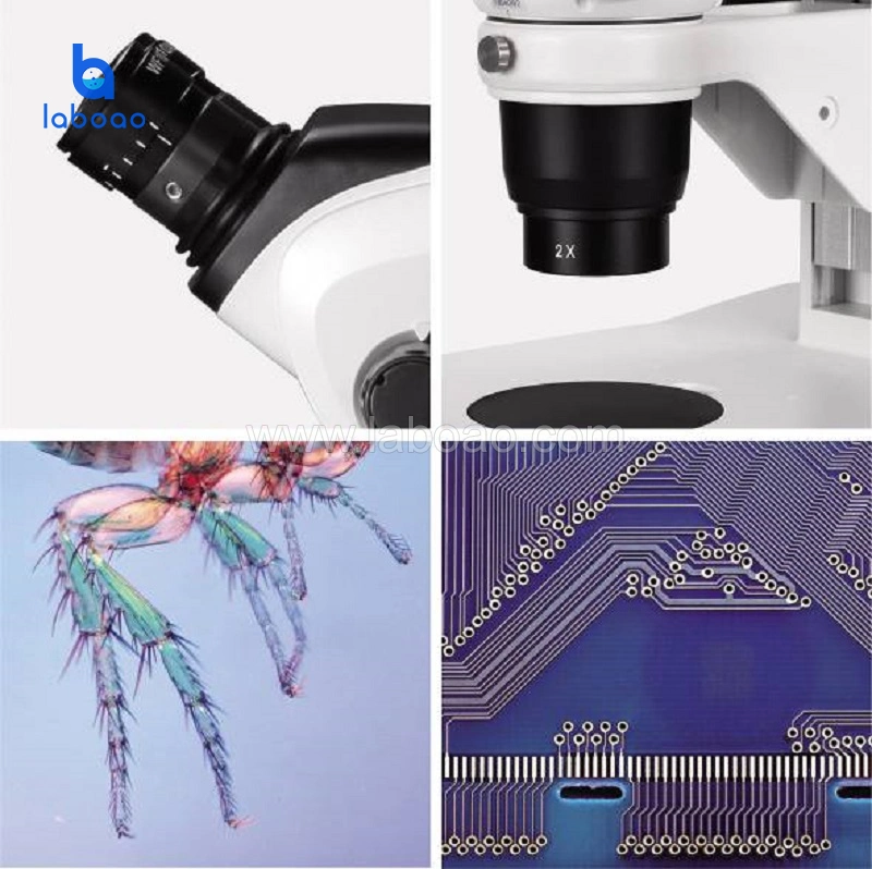 Microscopio óptico Lab microscopio binocular con zoom de forma continua